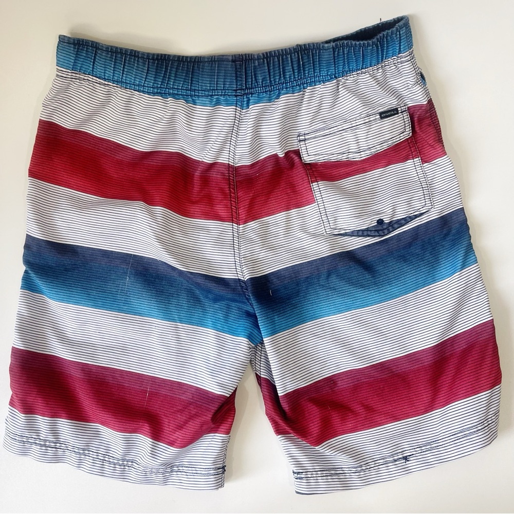 O’Neill Bathing Suit Swim Trunks Red Blue Striped Size Large - Picture 2 of 9